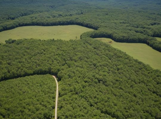 easement